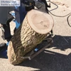 Kép 7/10 - Scheppach Compact 10 T - rönkhasíto 10 tonnás (230 V)
