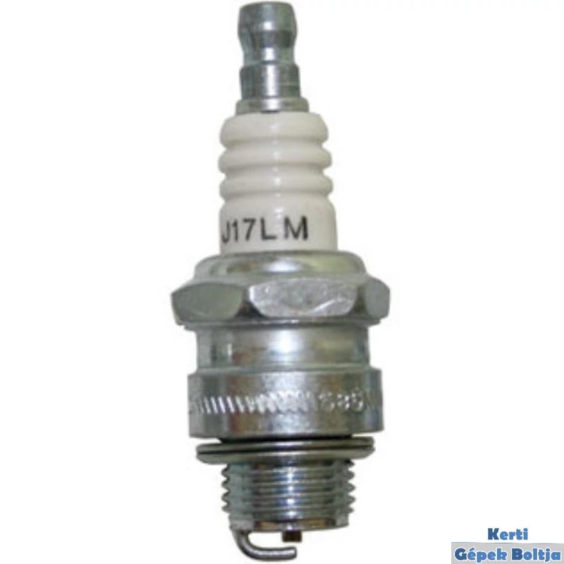 03700004Gyujtogyertya-Champion-J17LM01.jpg