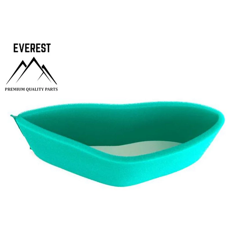 ELŐSZŰRŐ  BRIGGS&STRATTON DO 04-01009 EVEREST