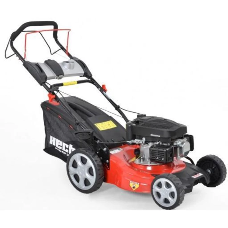 hecht_543_sx_1923475639