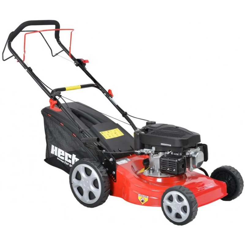 hecht_546-1
