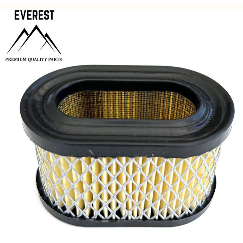 LÉGSZŰRŐ ALACSONY BRIGGS&STRATTON QUANTUM EVEREST