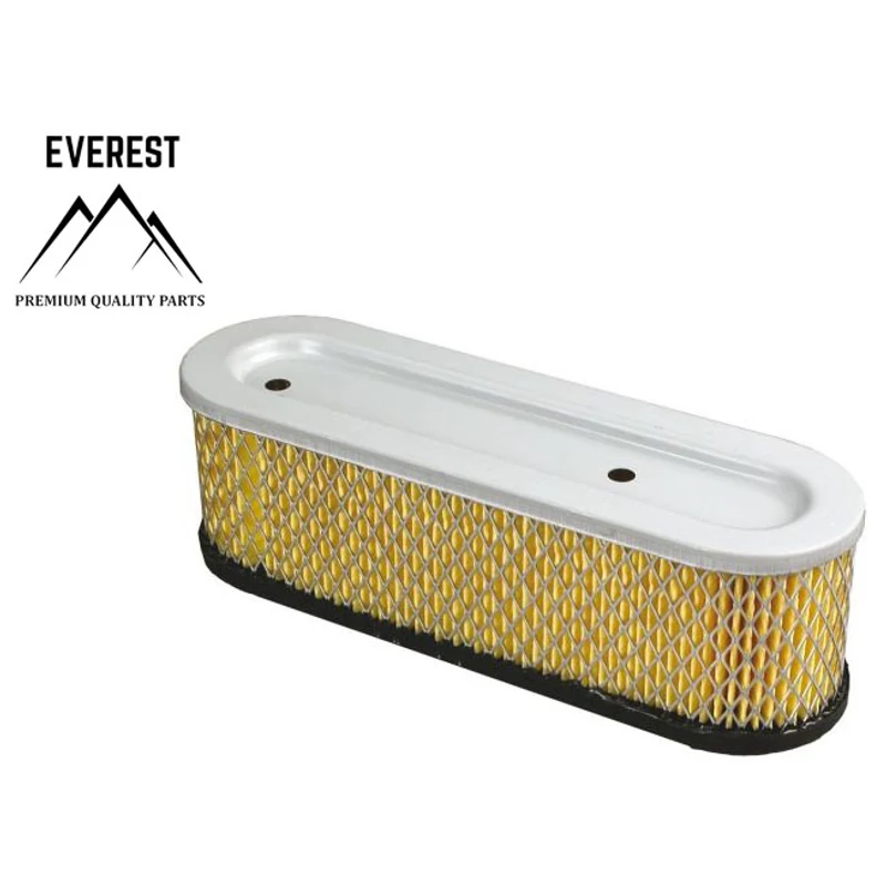 LÉGSZŰRŐ BRIGGS&STRATTON 10KM-12KM EVEREST