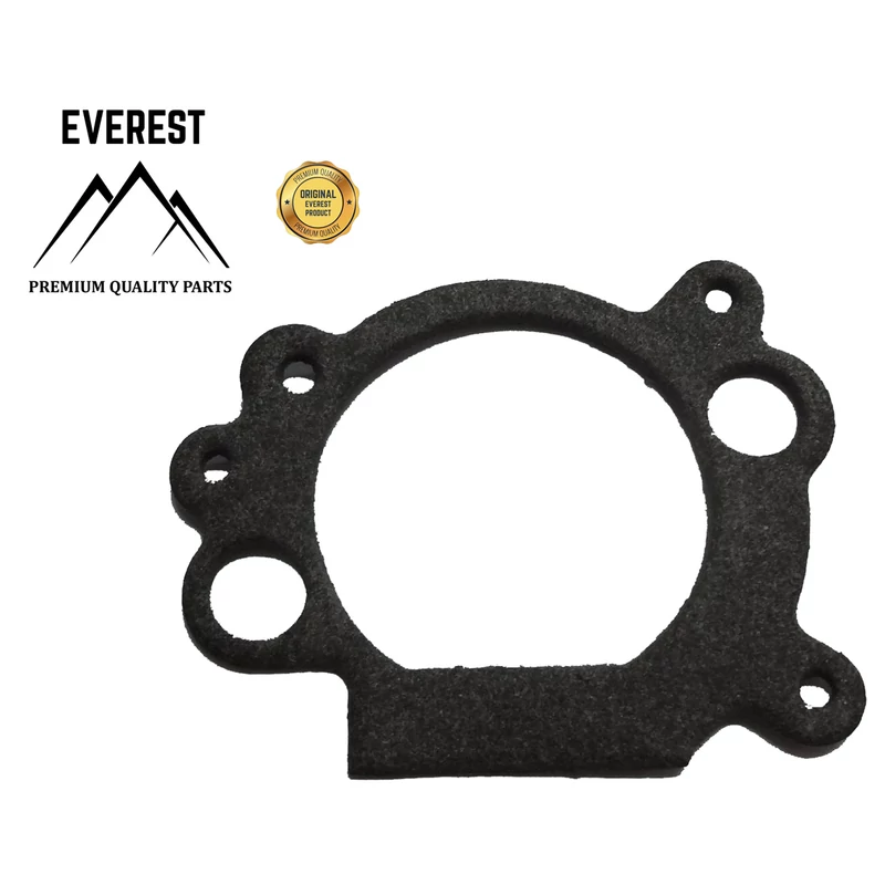 LÉGSZŰRŐ TÖMITÉS BRIGGS&STRATTON OHV EVEREST