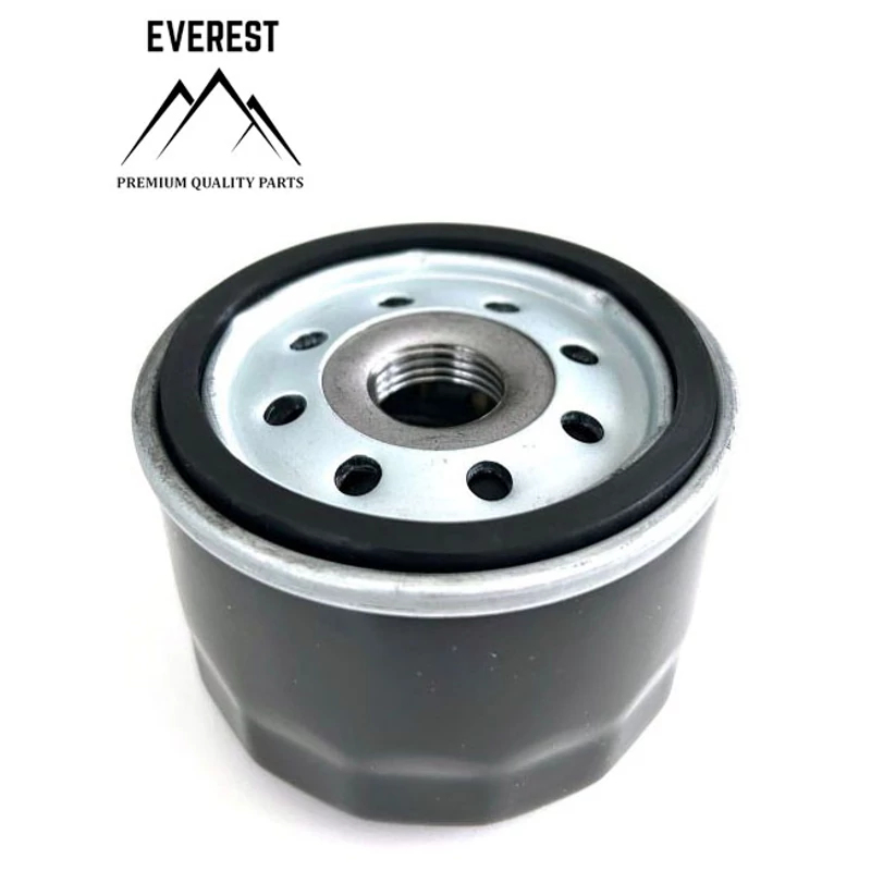 OLAJSZŰRŐ BRIGGS&STRATTON TRAKTOROK EVEREST