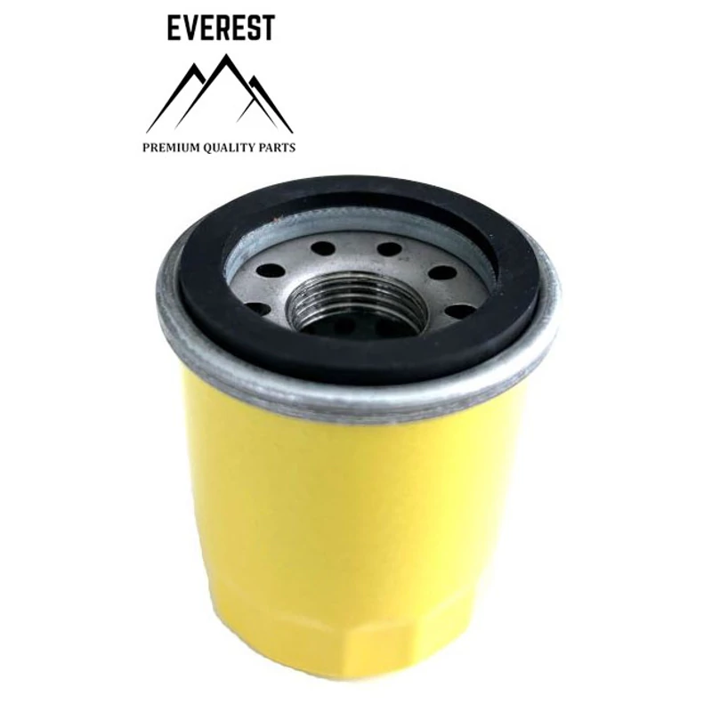 OLAJSZŰRŐ BRIGGS&STRATTON 795990 EVEREST