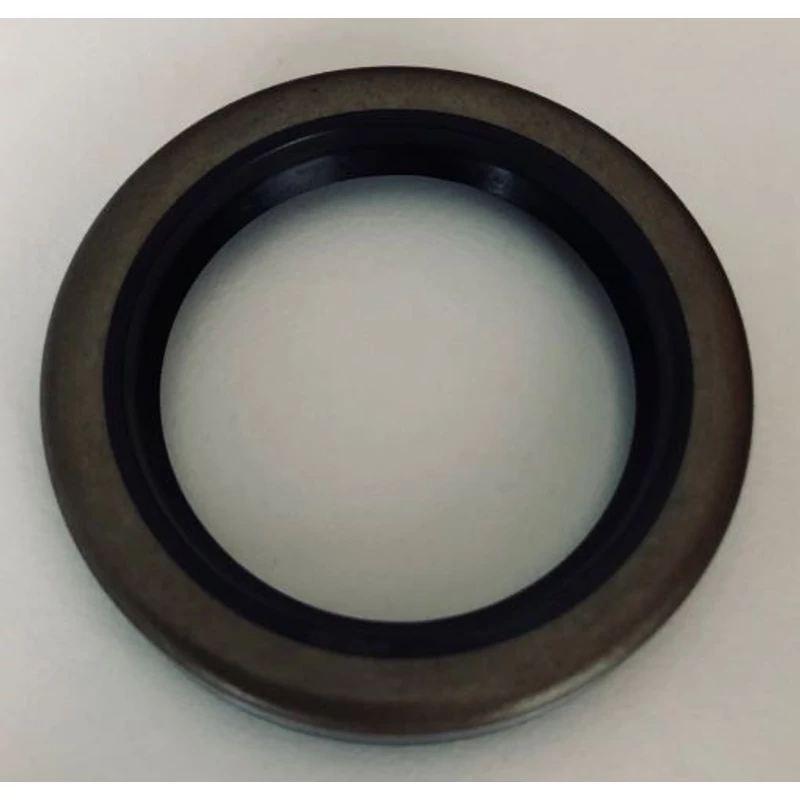 FŐTENGELY ALSÓ SZIMERING BRIGGS 10-12LE