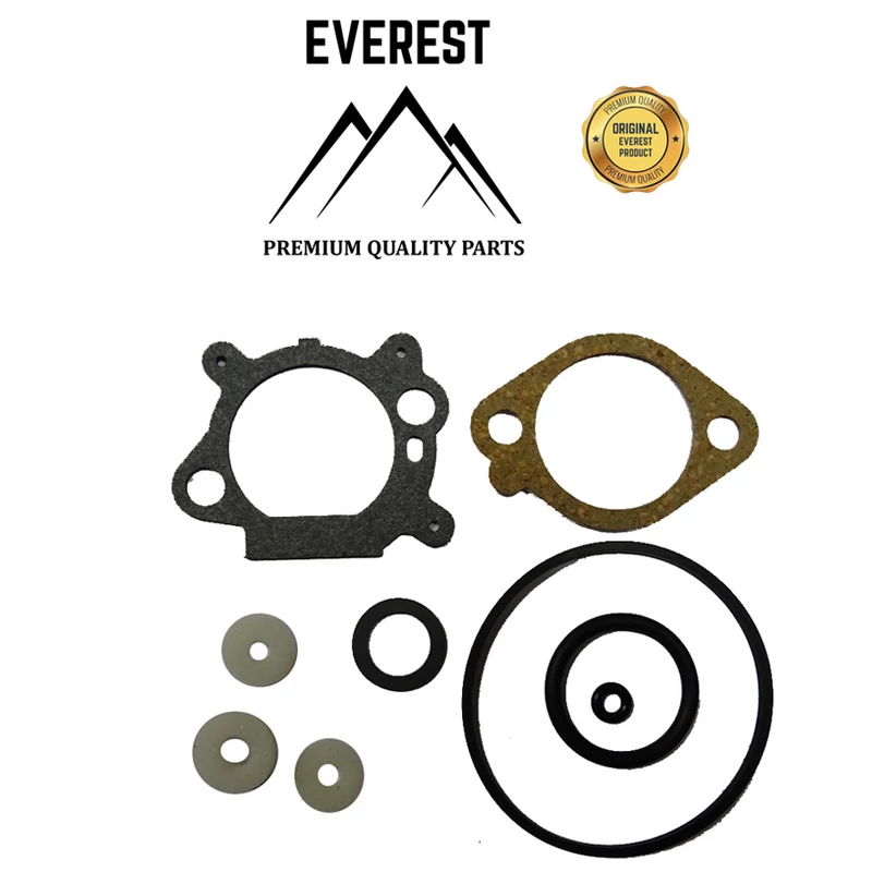 TÖMÍTÉSKÉSZLET KOMPLETT BRIGGS&STRATTON QUANTUM EVEREST