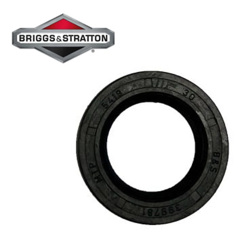 FŐTENGELY ALSÓ SZIMERING BRIGGS QUANTUM